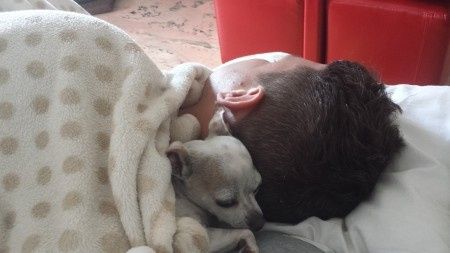 Amarlo perchè li ama! - 1