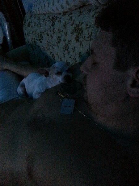 Amarlo perchè li ama! - 2