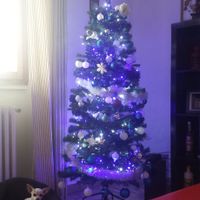 Il natale in casa nostra - 2