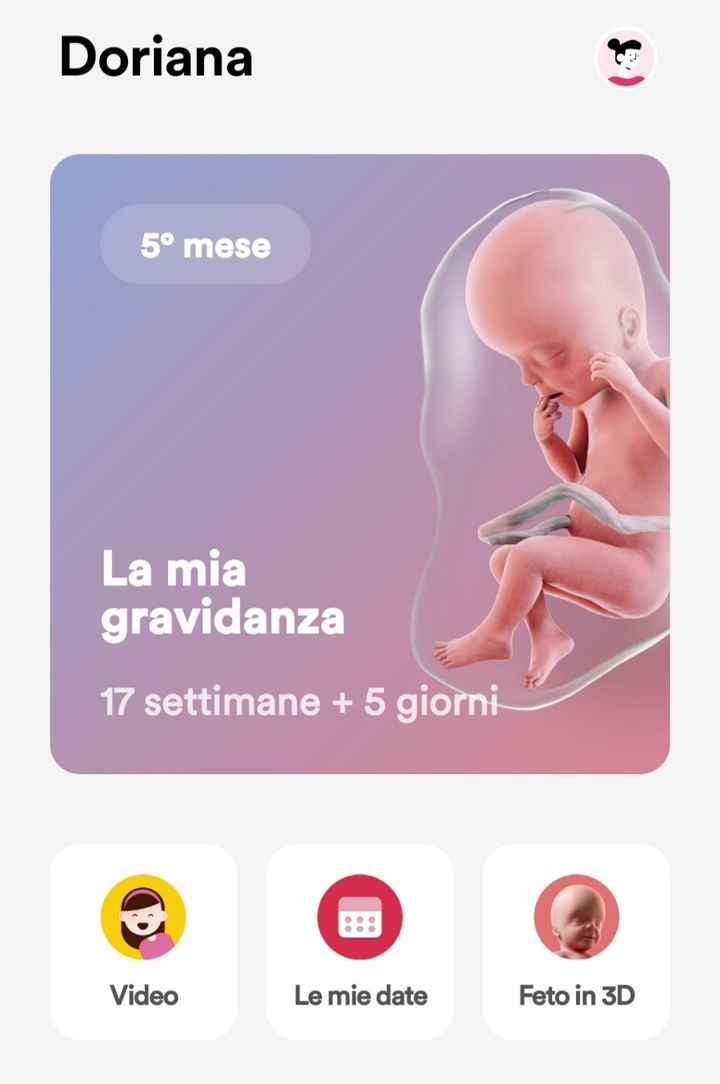 Future mamma novembre 2022 🍇🍁🧸 - 1