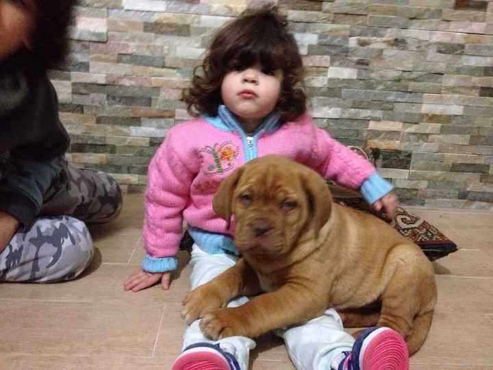 I nostri amici animali.. - 2