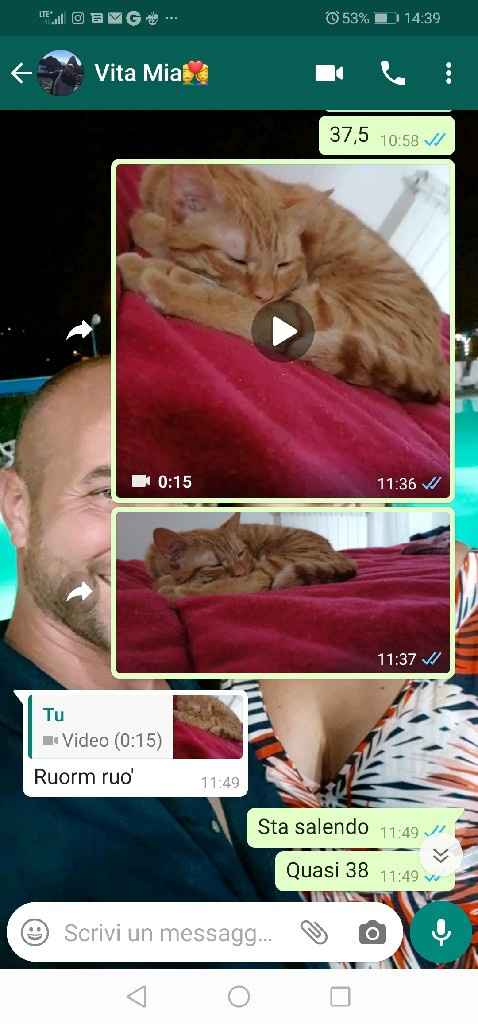 Condividi lo screenshot dell'ultimo messaggio che vi siete inviati - 1