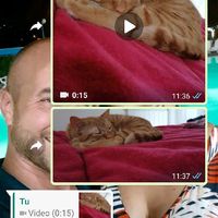 Condividi lo screenshot dell'ultimo messaggio che vi siete inviati - 1