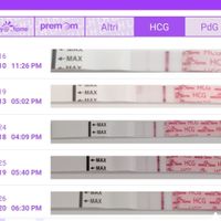 Chi non le aspetta per Dicembre 2021 🤶 🎅 🎄 - 1