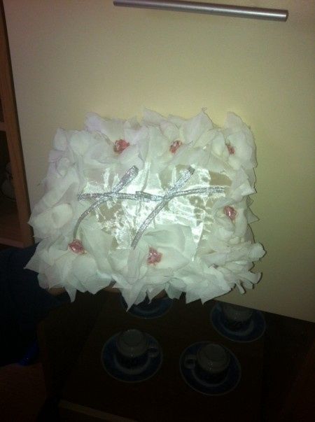 Cuscino si o cuscino no!!?!:) - 1