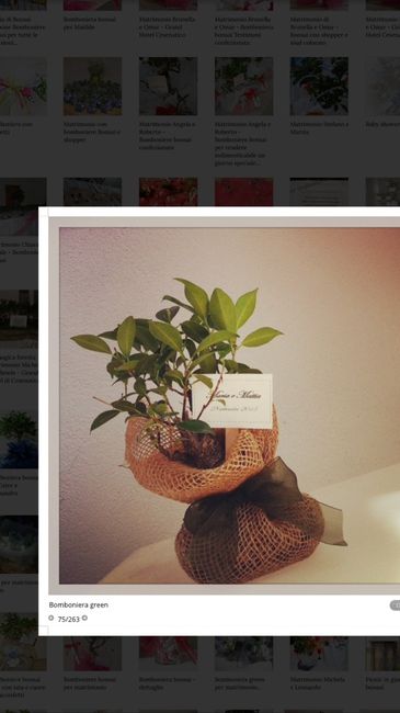 Bomboniera bonsai - 2