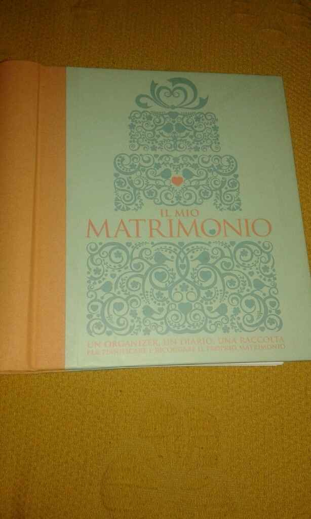Il mio matrimonio un organizer - 1