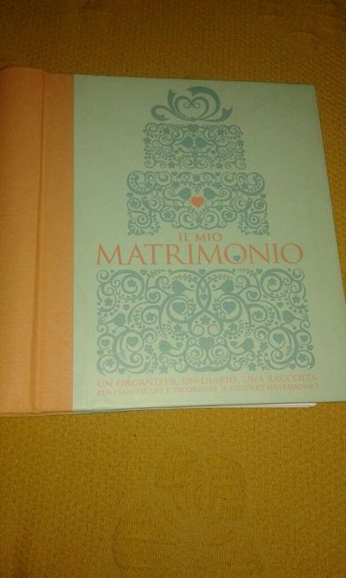 Il mio matrimonio un organizer - 1