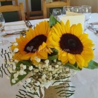 Centrotavola 🌻 - 1