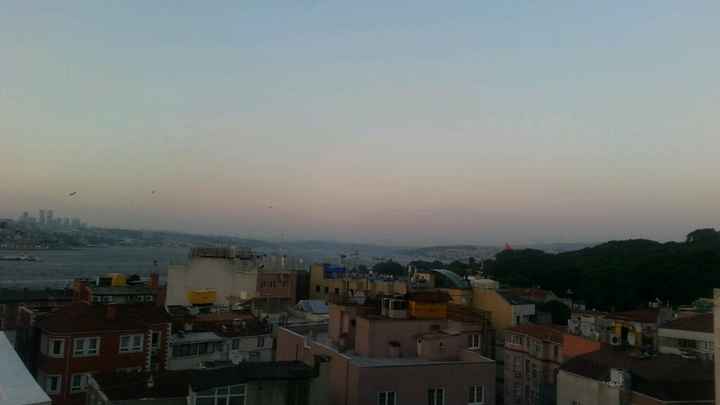 Che luna di miele fantastica!!! - 7