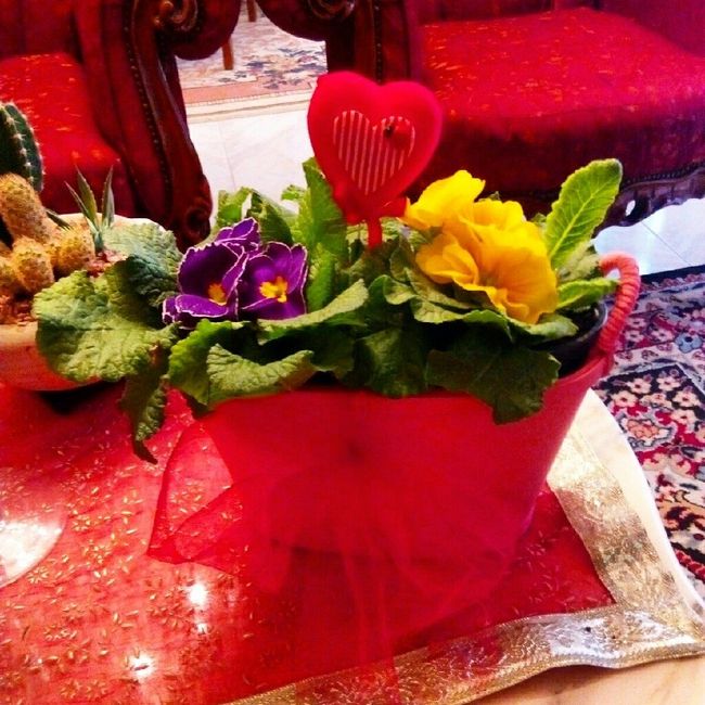 Il mio san valentino - 1