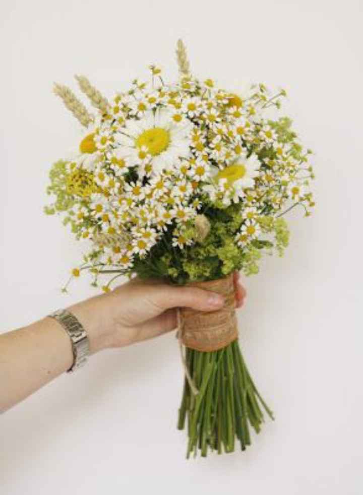 Salve novelle spose - 5