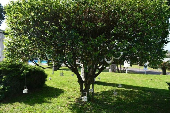 La villa scelta - 10