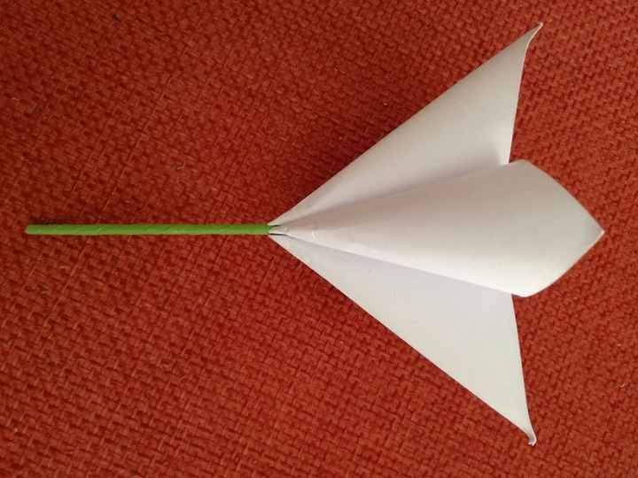 Coni-fiori portariso diversi! - 2