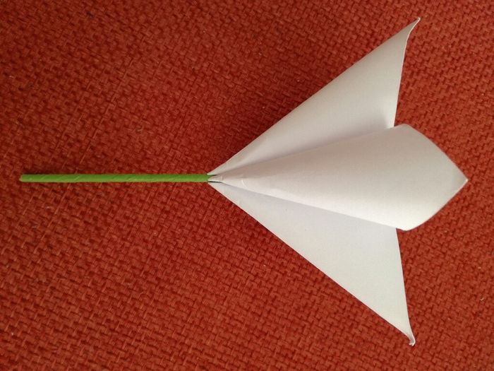 Coni-fiori portariso diversi! - 2