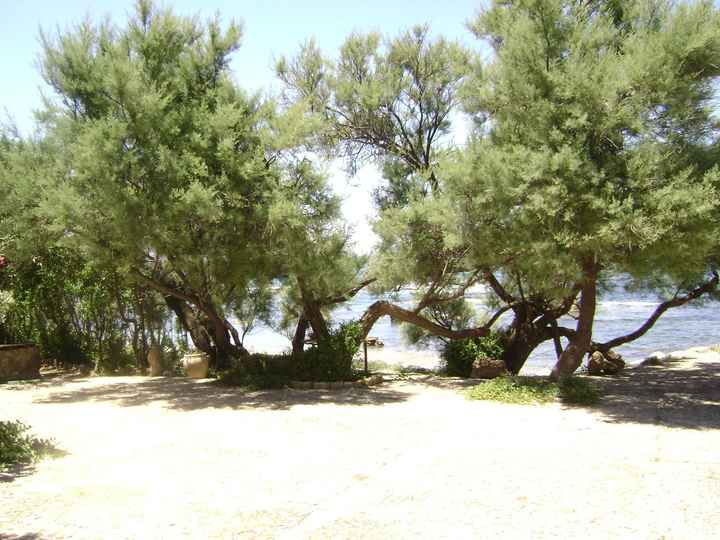 la mia terrazza sul mare