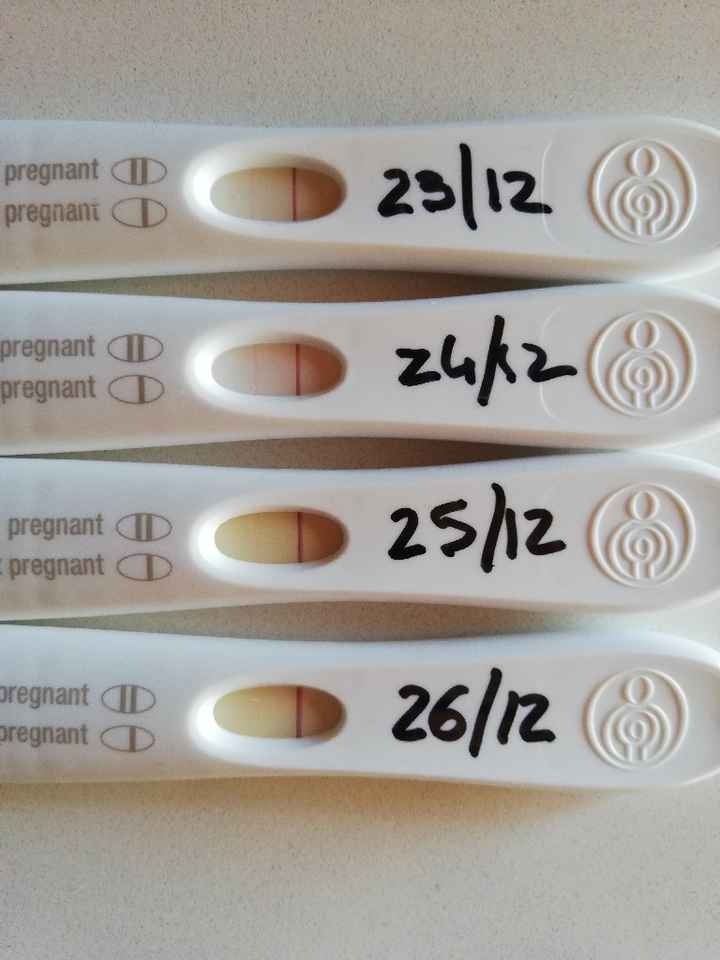 Ditemi che mi sto sbagliando!! Aiuto :( - 1