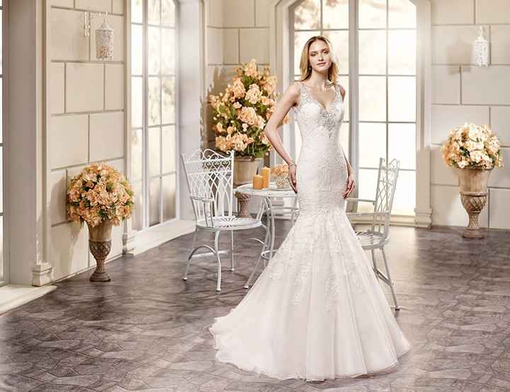 Eddy K 2016...md 78001