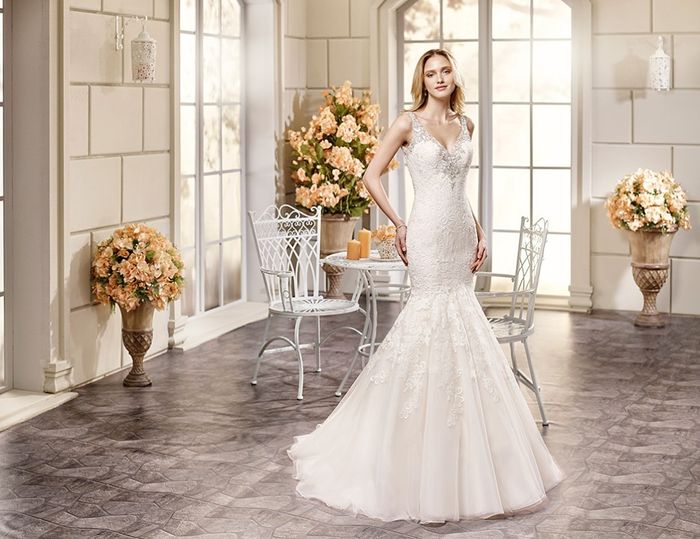 Eddy K 2016...md 78001