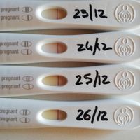 Ditemi che mi sto sbagliando!! Aiuto :( - 1