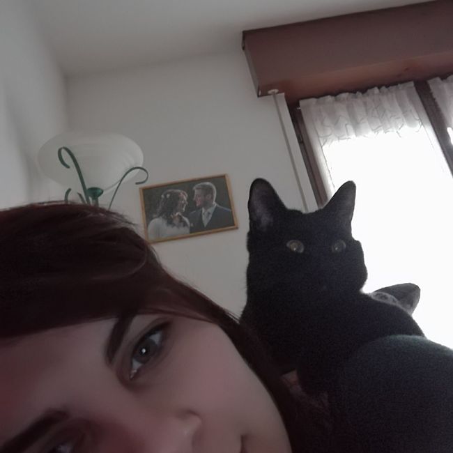  Vivere insieme ad...un animale domestico! - 1