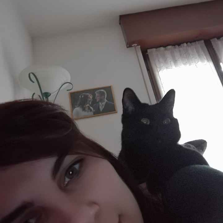  Vivere insieme ad...un animale domestico! - 1