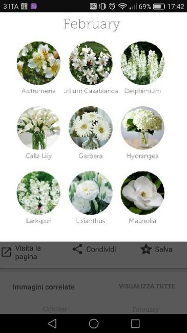  Aiuto matrimonio in febbraio - 2