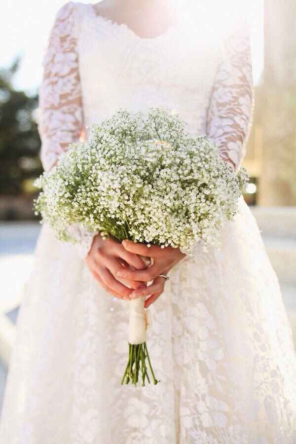 Che ne pensate della Gypsophila/nebbiolina - 1