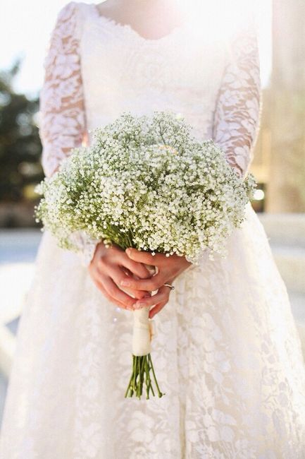Che ne pensate della Gypsophila/nebbiolina - 1