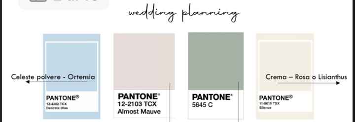 Colore prevalente al matrimonio - 1