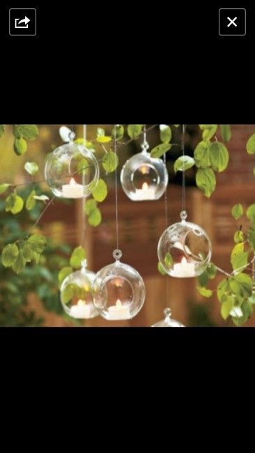 T light : qualcuno sa dove trovarle? 