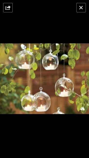 T light : qualcuno sa dove trovarle? 