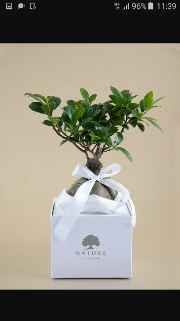 Fiorista - 3
