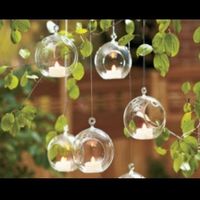 T light : qualcuno sa dove trovarle? 