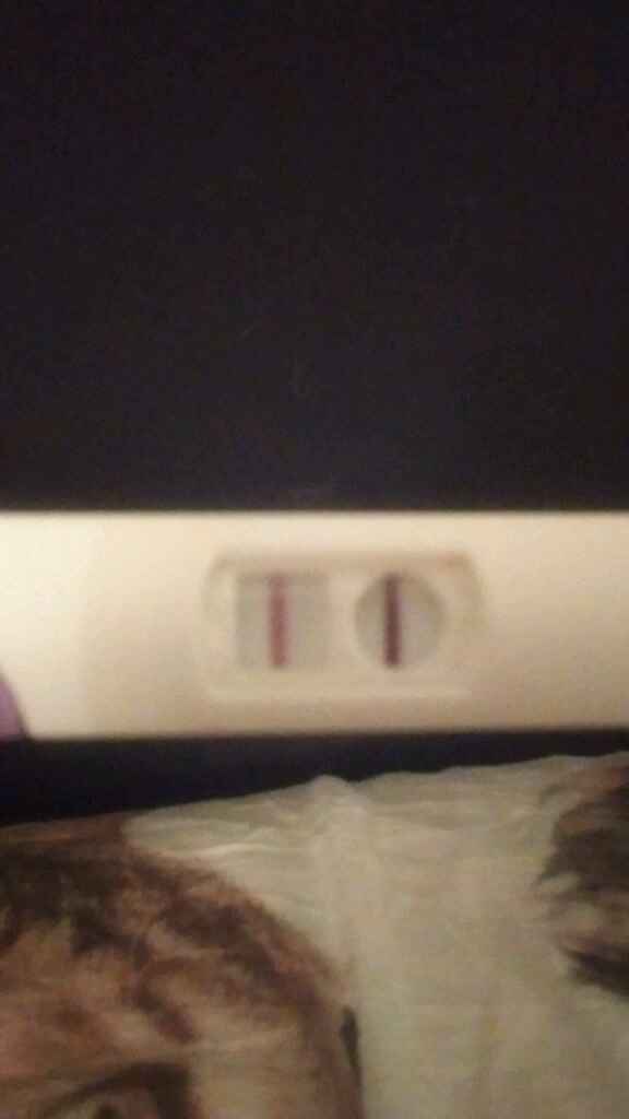 Alle 6.30 la felicità. - 1