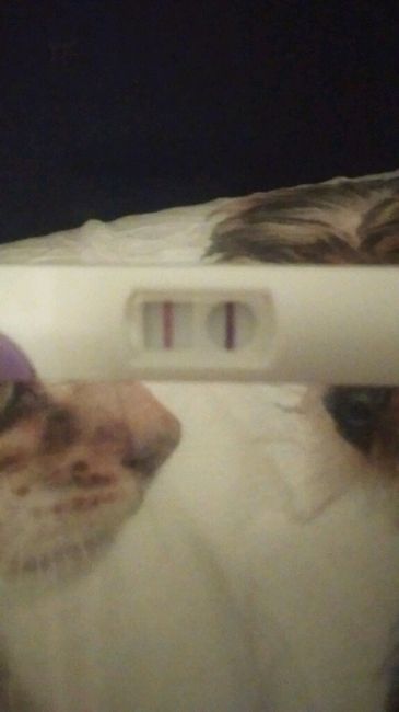 Non so che fare..consigli - 1