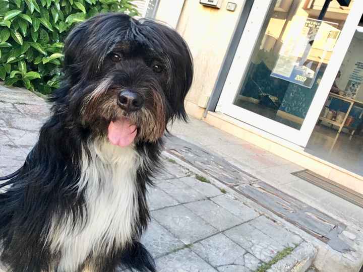 Collaboratori pelosi ❤️ - 1