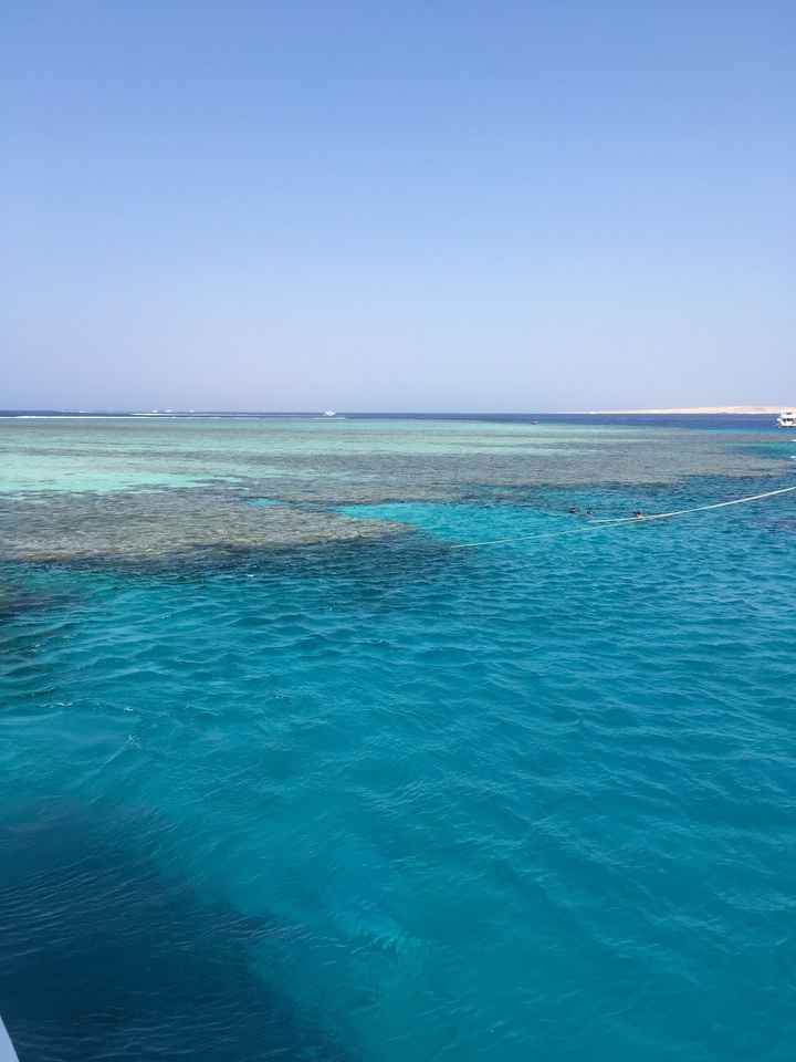 sos viaggio di nozze - Giugno 2020 - 1