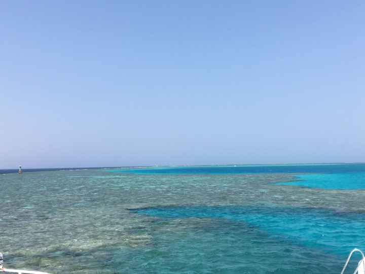 sos viaggio di nozze - Giugno 2020 - 2