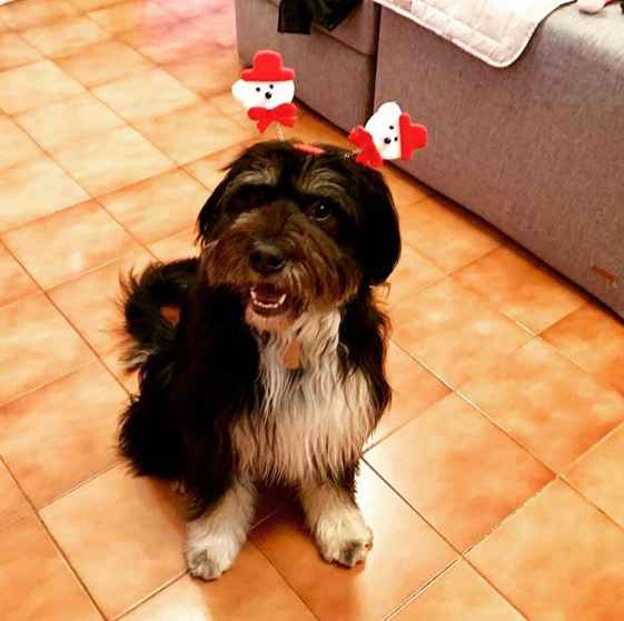 Selfie di Auguri...... 3....2...1.....viaaaaaa - 1