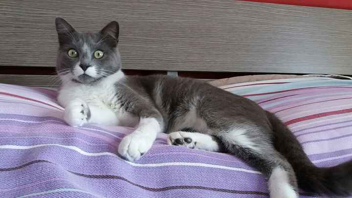 Alla fine ho vinto io! - 1