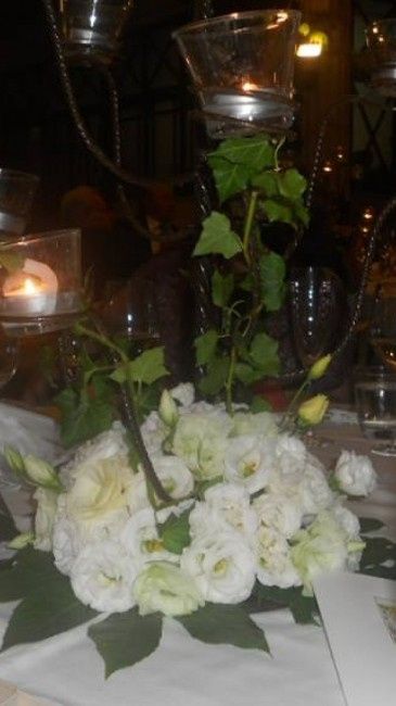 Spose total white - 1