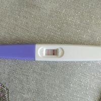 Chi non le aspetta per settembre 2021 - 1