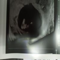 💙💜future mamme di Maggio 2022💙💜 - 2