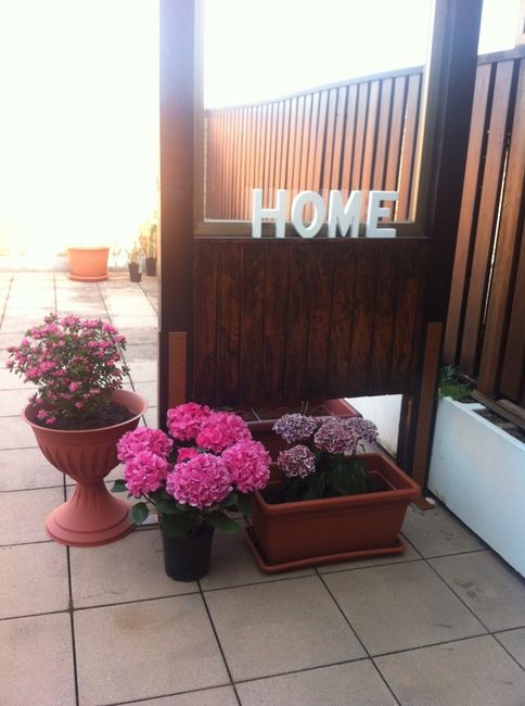 Pubblicate foto dei vostri mobili - 3