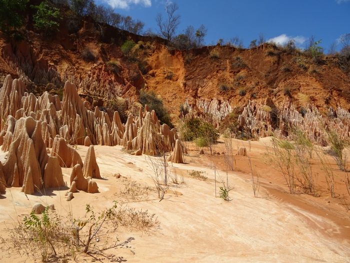 Viaggio di nozze a Settembre. Kenya o Madagascar? - 9