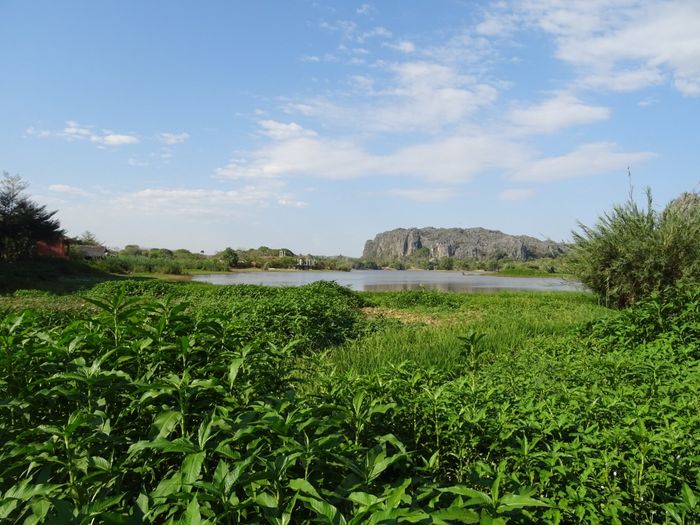 Viaggio di nozze a Settembre. Kenya o Madagascar? 11