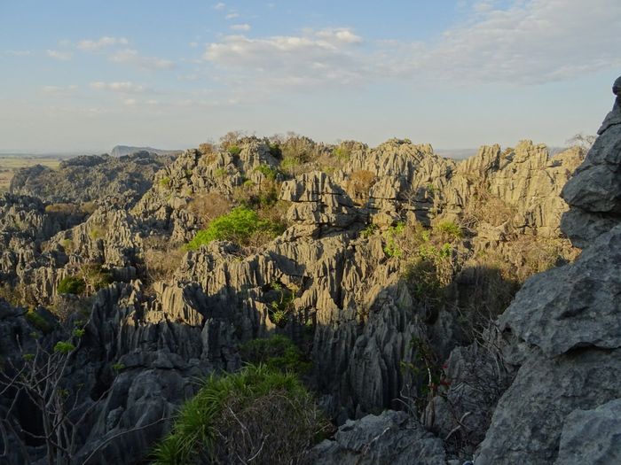 Viaggio di nozze a Settembre. Kenya o Madagascar? - 13