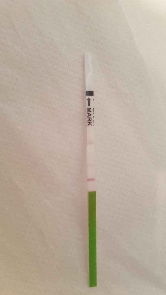 Consiglio uso canadesi - 1