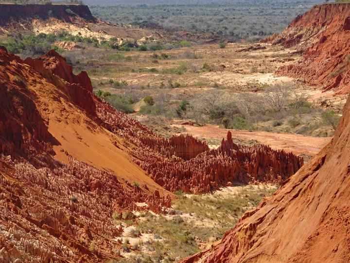 Viaggio di nozze a Settembre. Kenya o Madagascar? - 7
